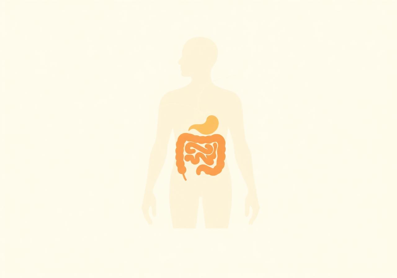 Soft illustration of the gut-brain connection